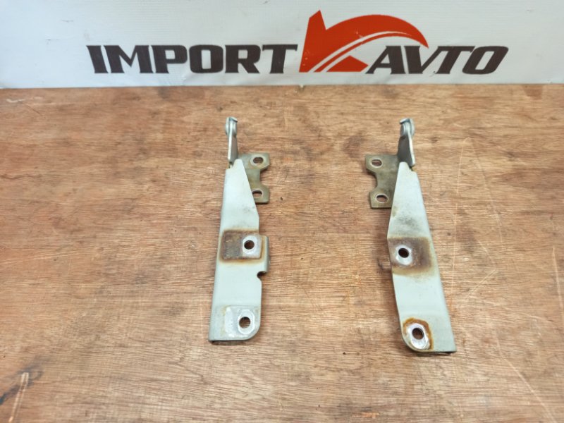 петля капота MITSUBISHI EK WAGON H81W 3G83 2004-2006 494025