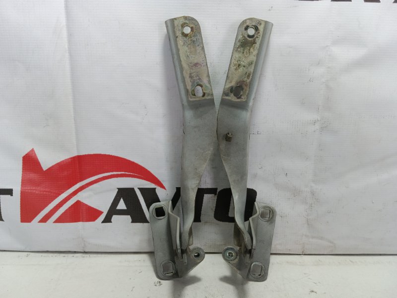 Петля капота NISSAN LAFESTA B30 MR20DE 2004-2007 494551