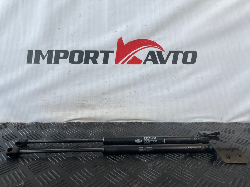 Амортизатор задней двери KIA SOUL AM G4FC 2008-2011 499343