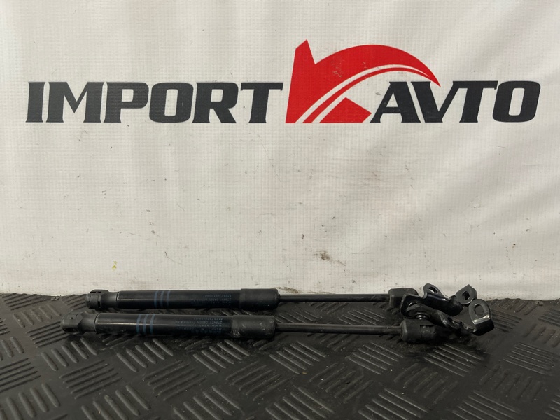 Амортизатор капота BMW 5-SERIES F10 N47D20 2009-2013 499779