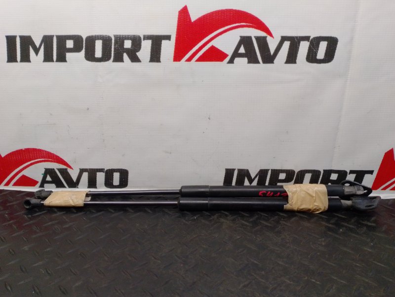 амортизатор задней двери TOYOTA PRIUS ZVW30 2ZR-FXE 2009-2011 501645
