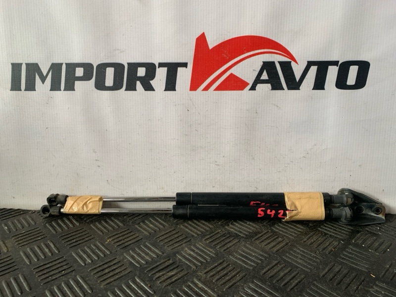 Амортизатор задней двери TOYOTA COROLLA FIELDER NZE141G 1NZ-FE 2006-2008 508987