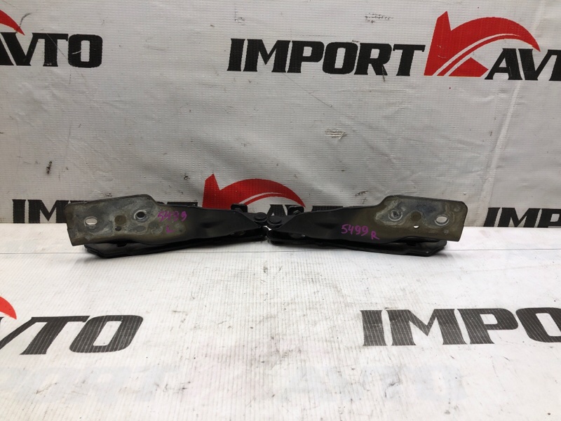 Петля капота JEEP COMPASS MK49 ED3, ERZ 2011-2015 509344