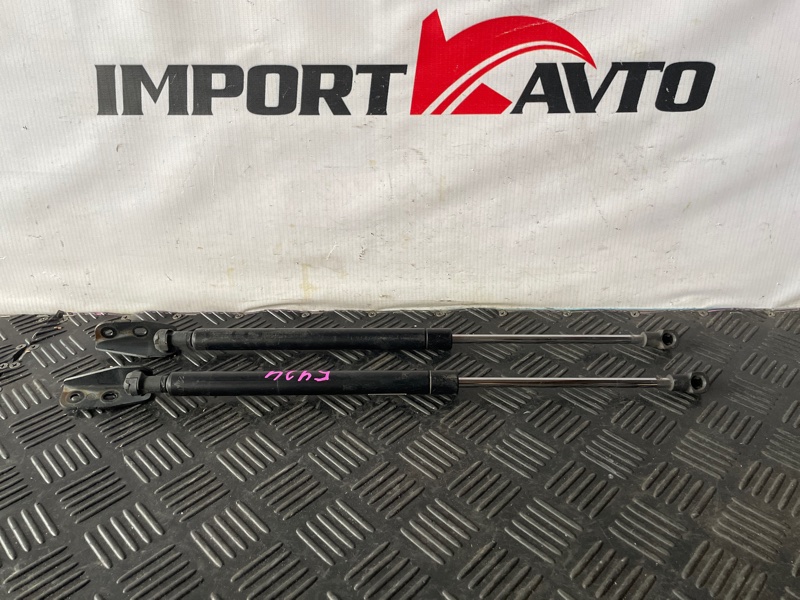 Амортизатор капота TOYOTA COROLLA FIELDER NZE141G 1NZ-FE 2006-2008 509688