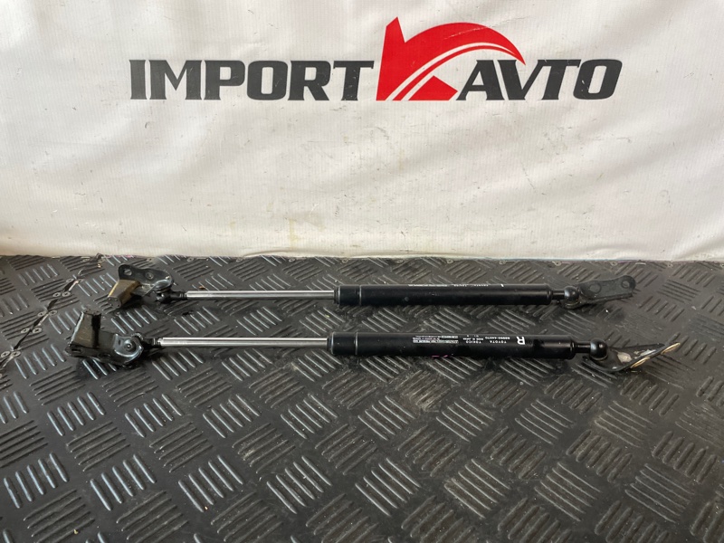 Амортизатор задней двери TOYOTA IPSUM ACM21W 2AZ-FE 2003-2009 510035