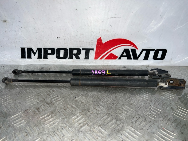 Амортизатор задней двери TOYOTA COROLLA FIELDER ZZE122G 1ZZ-FE 2000-2002 545816