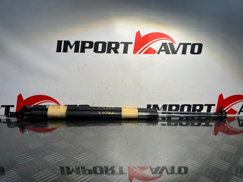 Амортизатор задней двери HONDA STREAM RN1 D17A 2003-2006 552807