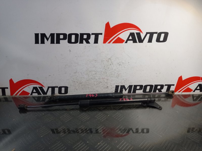 Амортизатор задней двери VOLKSWAGEN TIGUAN 5N1, 5N2 CBAB, CFFB 2006-2011 556120