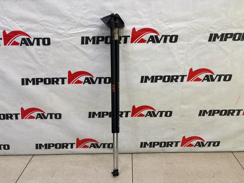Амортизатор задней двери HONDA MOBILIO SPIKE GK1 L15A 2004-2005 571335