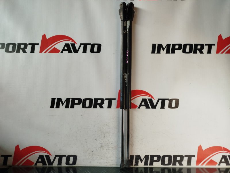 Амортизатор задней двери NISSAN AD VAY12 CR12DE 2006-2016 572567