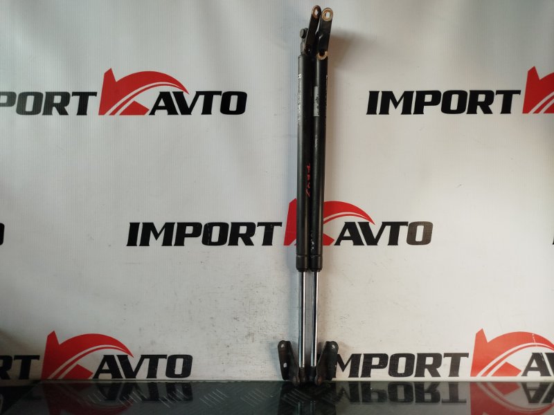 Амортизатор задней двери TOYOTA IPSUM SXM10G 3S-FE 1998-2001 572588