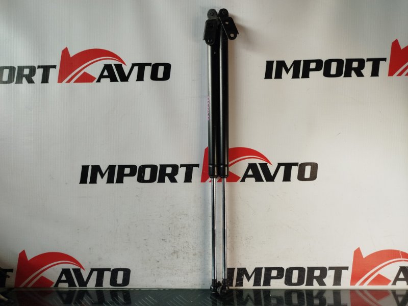 Амортизатор задней двери NISSAN LIBERTY RM12 QR20DE 2001-2004 572591 Амортизатор задней двери NISSAN LIBERTY RM12 QR20DE 2001-2004 572591