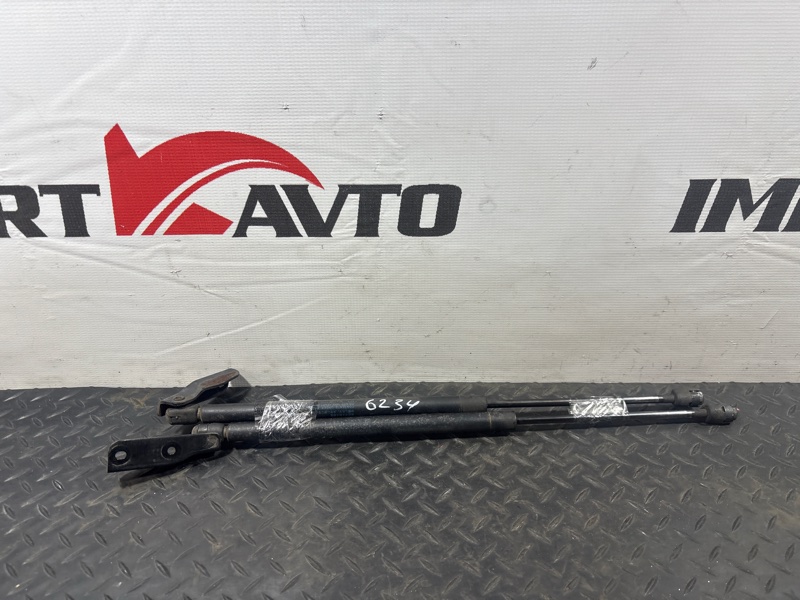 Амортизатор задней двери NISSAN WINGROAD WRY11 QR20DE 2001-2005 584342