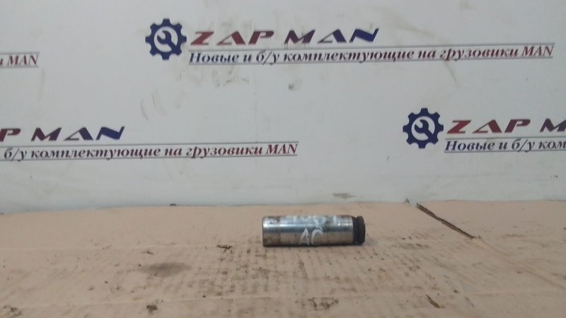 Палец тормозной колодки Man Tga (б/у)