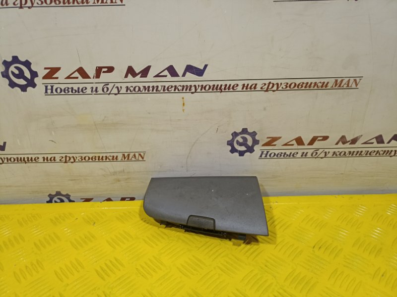 Вещевой карман MAN TGS TGX (б/у)