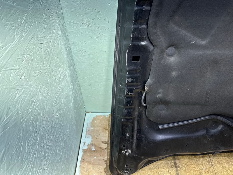 Капот Mustang 6