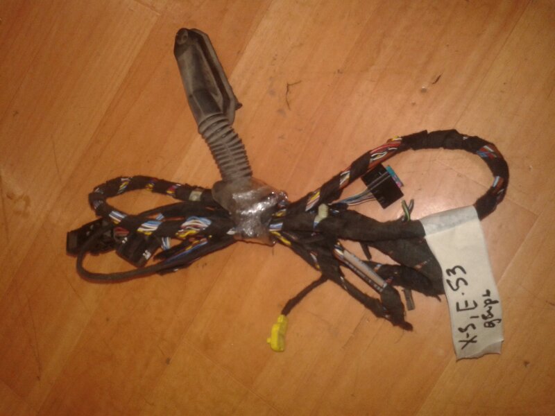 Проводка двери Bmw X5 E53 M62B44TU 2001 передняя левая