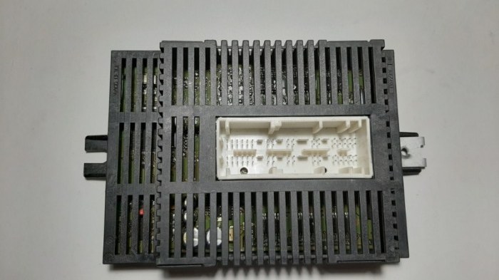Блок управления светом Bmw 7-Series E66 N62B40A 2006