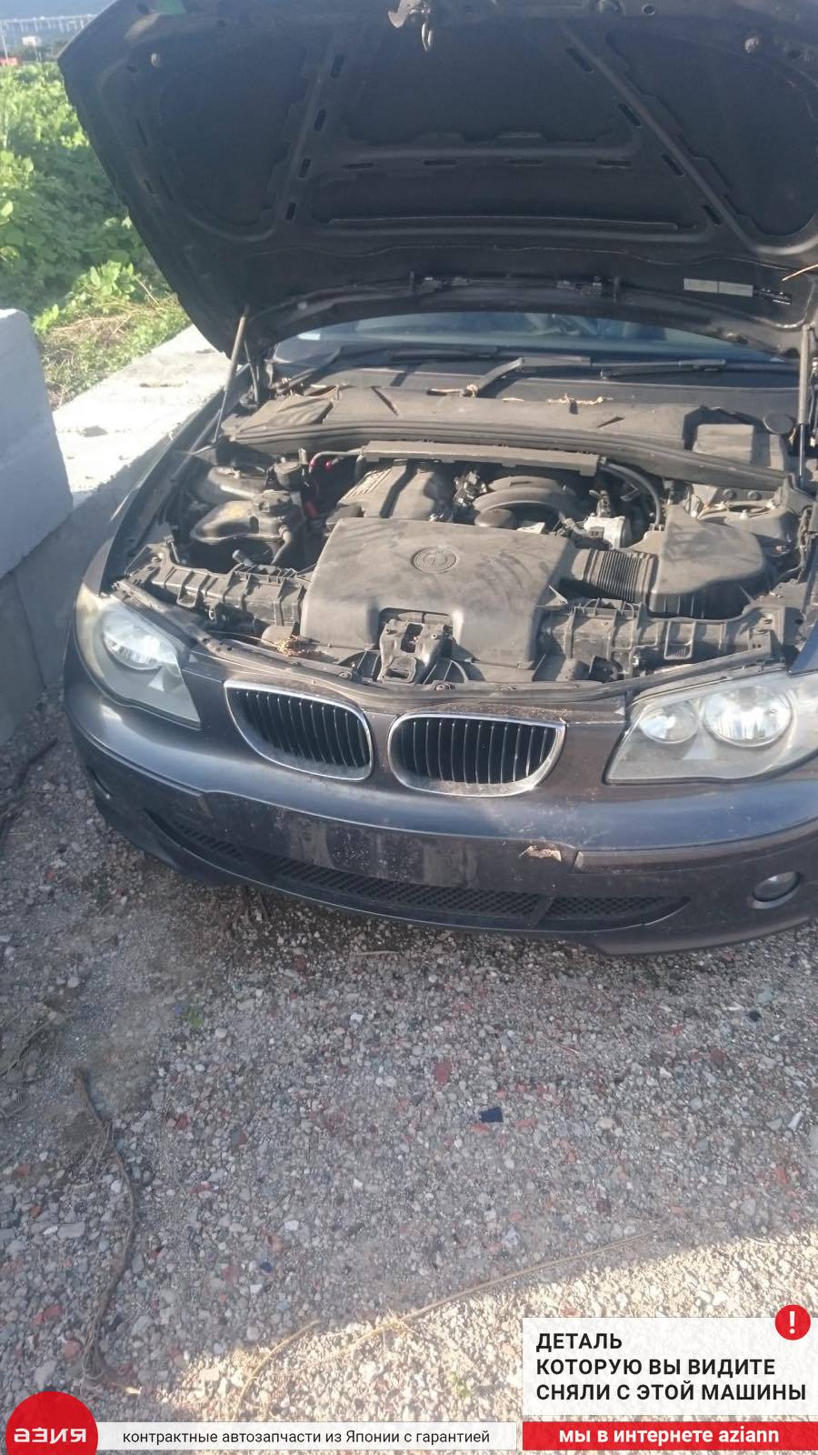 Дверь багажника задняя 1 2004 E87 N46B20B (2.0)