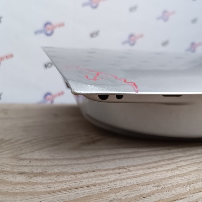 Дверь передняя левая GRANTA (FL) Платина / 691