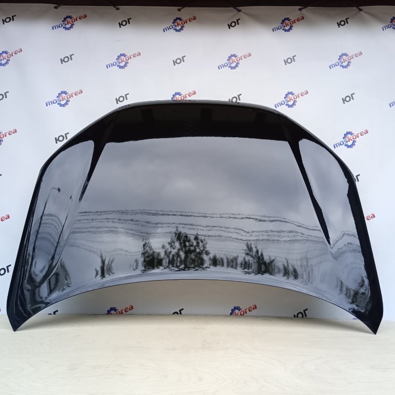 Капот GRANTA (FL) 672 - ЧЕРНАЯ ПАНТЕРА ANALOG Капот GRANTA (FL) 672 - ЧЕРНАЯ ПАНТЕРА ANALOG