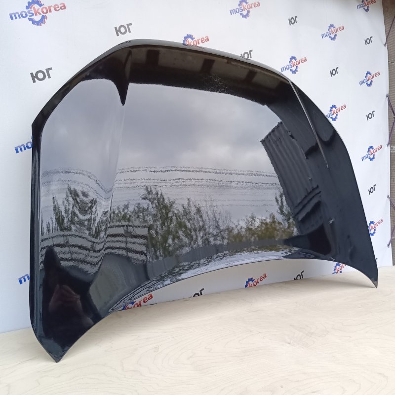 Капот Lada GRANTA (FL) 672 - ЧЕРНАЯ ПАНТЕРА ANALOG Капот Lada GRANTA (FL) 672 - ЧЕРНАЯ ПАНТЕРА ANALOG