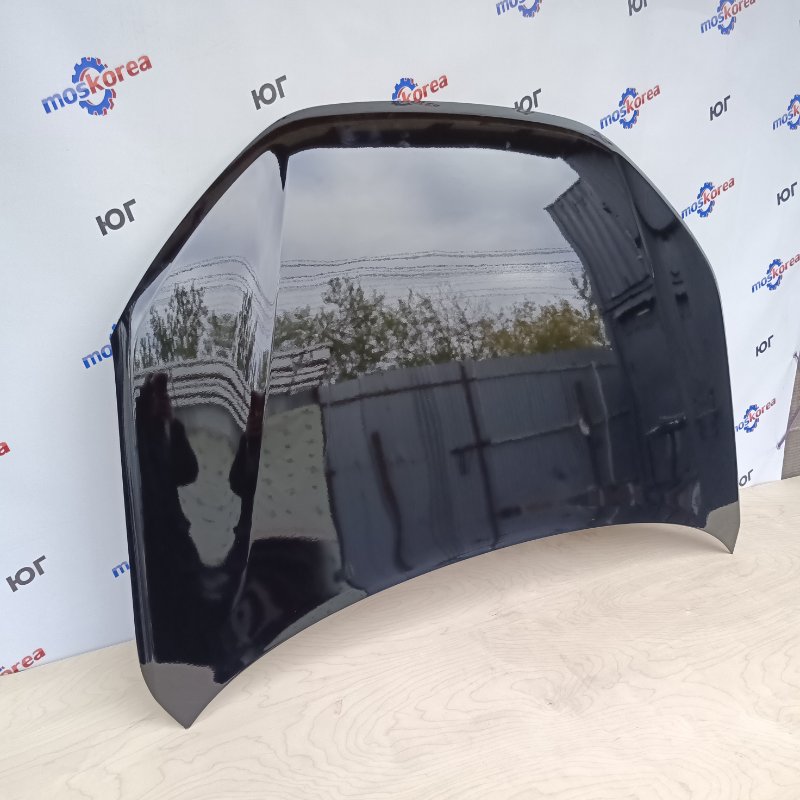 Капот GRANTA (FL) 672 - ЧЕРНАЯ ПАНТЕРА ANALOG Капот GRANTA (FL) 672 - ЧЕРНАЯ ПАНТЕРА ANALOG