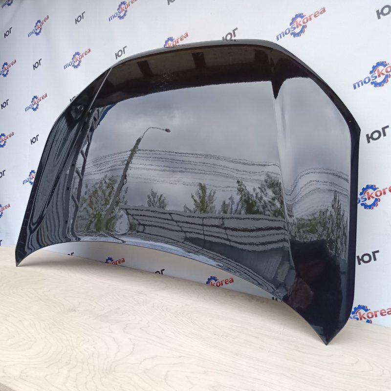 Капот GRANTA (FL) 672 - ЧЕРНАЯ ПАНТЕРА ANALOG Капот GRANTA (FL) 672 - ЧЕРНАЯ ПАНТЕРА ANALOG