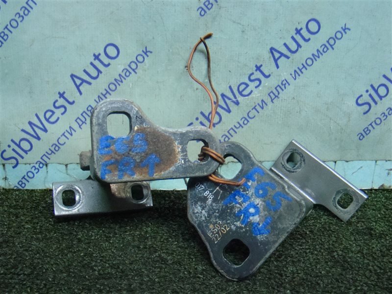 Петля дверная BMW 7-Series E65 N62B44 2002 передняя правая (б/у)