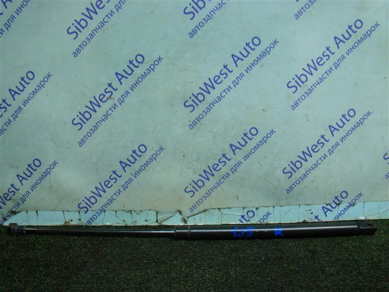 Амортизатор задней двери VOLKSWAGEN GOLF 1J5 AXR 2002 (б/у) Амортизатор задней двери VOLKSWAGEN GOLF 1J5 AXR 2002 (б/у)