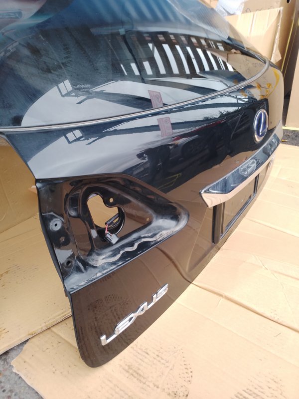 Крышка багажника задняя RX270 2009-2011 AGL10