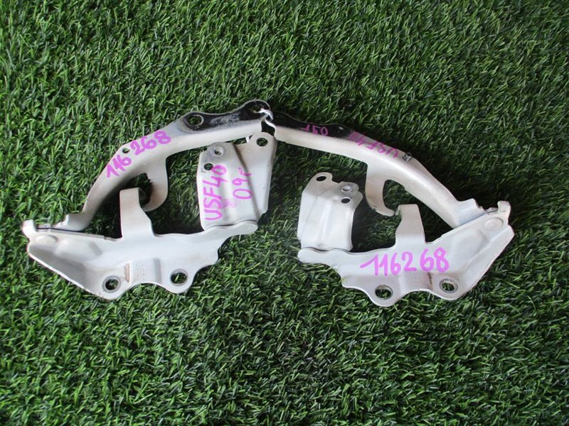 Петля капота LEXUS LS460 2009 USF40 контрактная