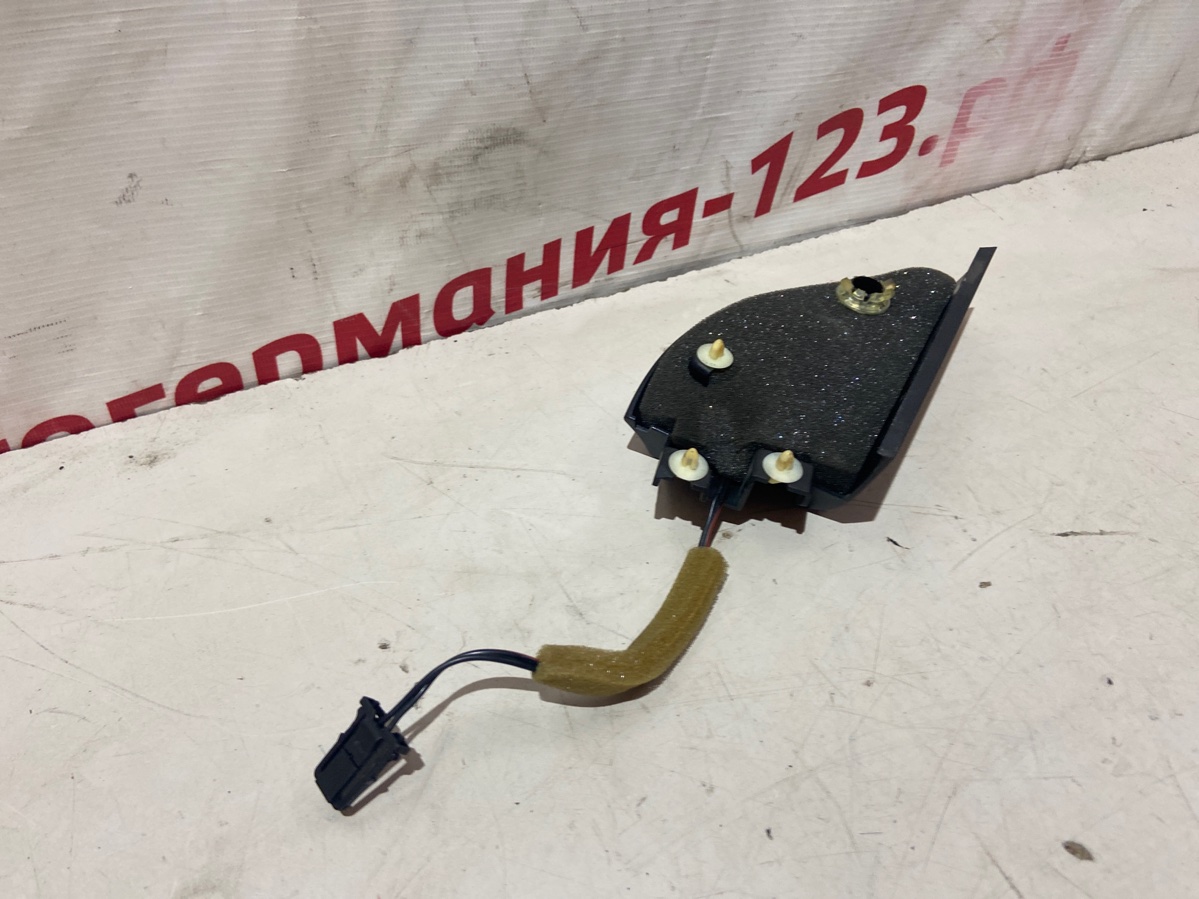 Динамик Passat B6