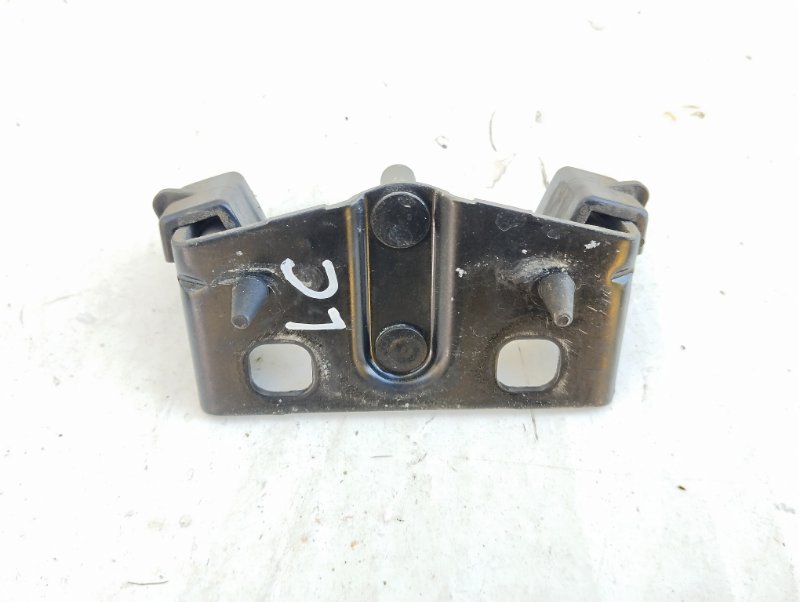 Петля замка багажника Citroen C4 LC TU5JP4