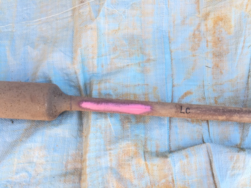 Выхлопная труба C4 2008 LC TU5JP4 Выхлопная труба C4 2008 LC TU5JP4