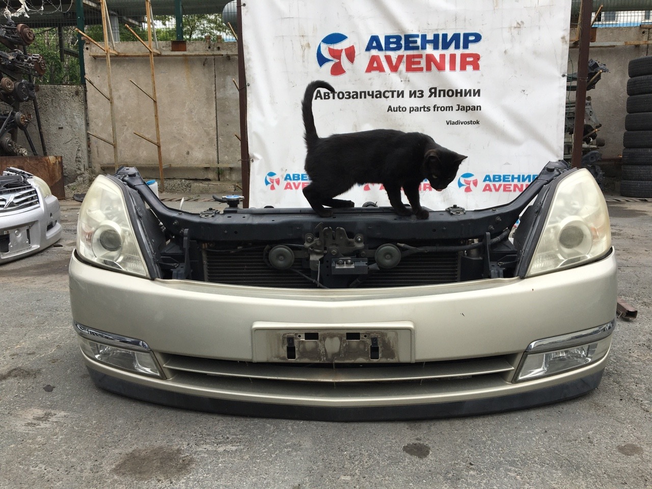 Nose cut Nissan Teana J31 VQ23 Nose cut Nissan Teana J31 VQ23