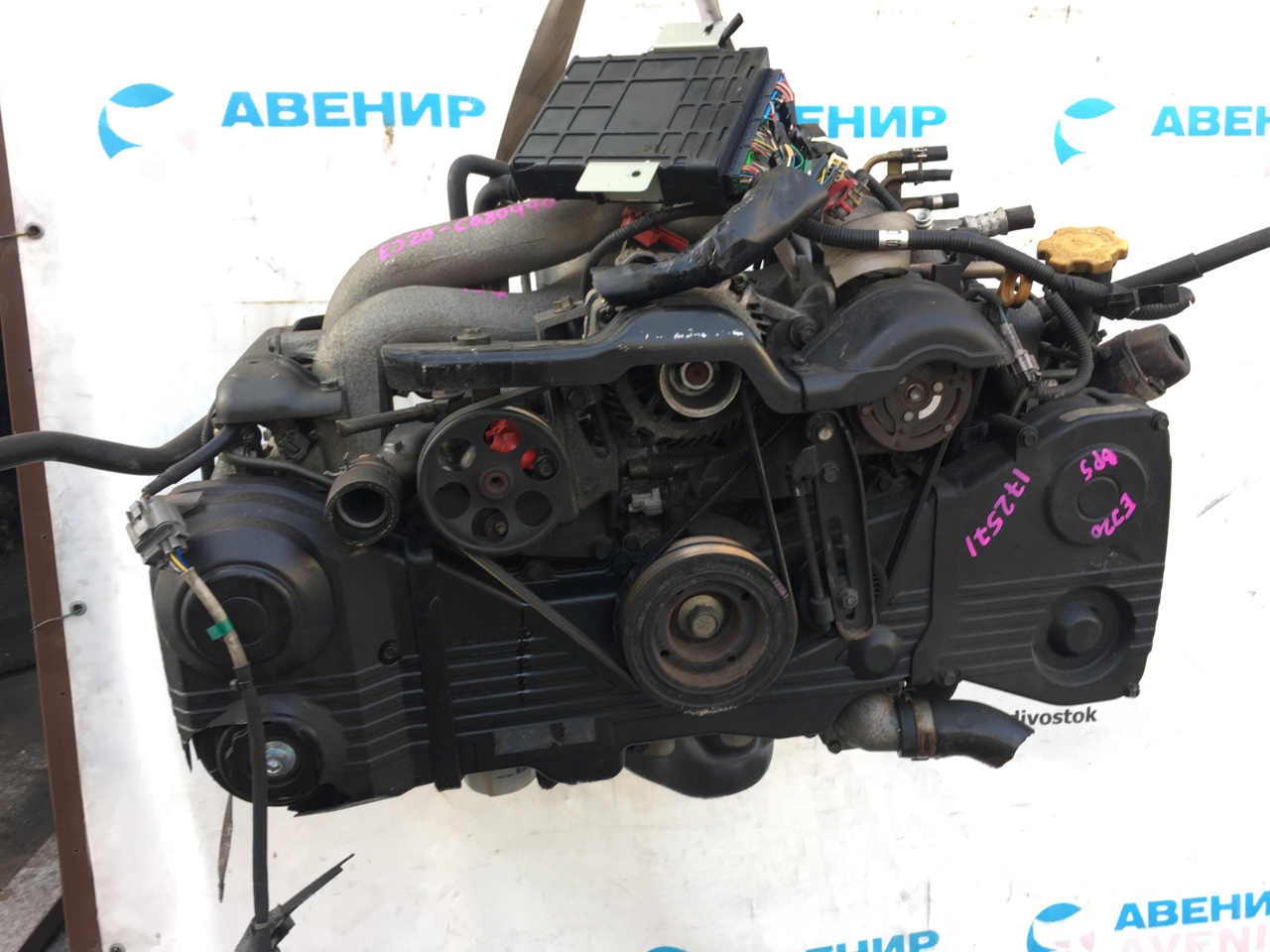 Двигатель Subaru Legacy BP5 EJ204DPCJE