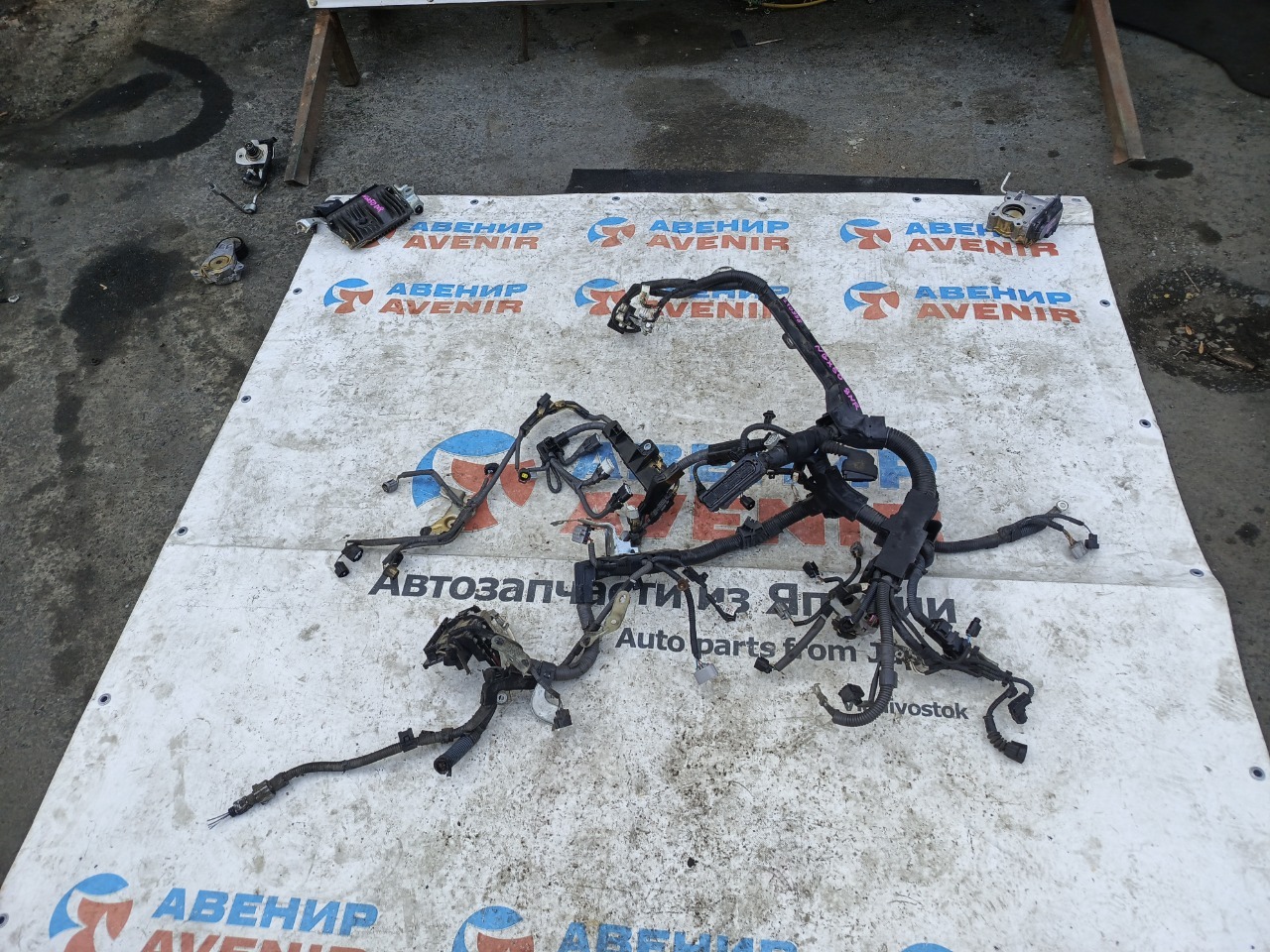 Коса двс TOYOTA C-HR NGX50 8NR-FTS (б/у)