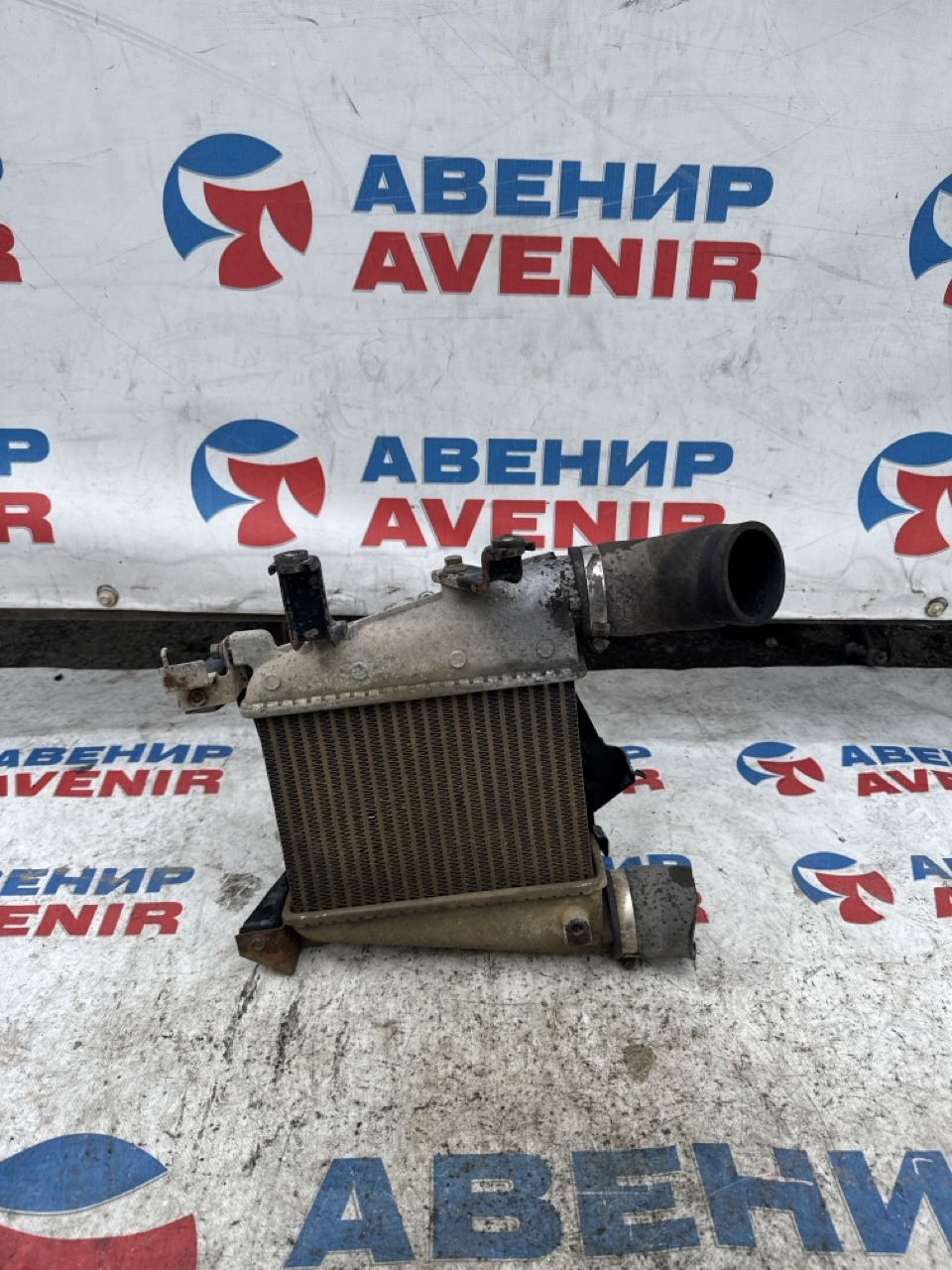 Интеркуллер NISSAN TERRANO REGULUS JRR50 QD32ETI (б/у)