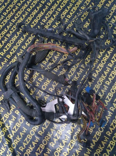 Коса двс Bmw X5 E53 M54 2000 Коса двс Bmw X5 E53 M54 2000