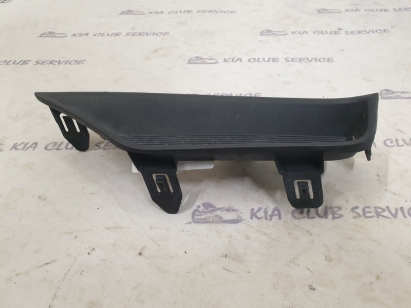 Заглушка бампера передняя левая RX 2019-2022 4