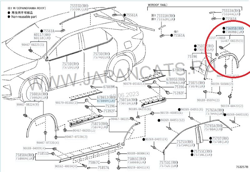 Расширитель крыла задний правый RX 2019-2023 4