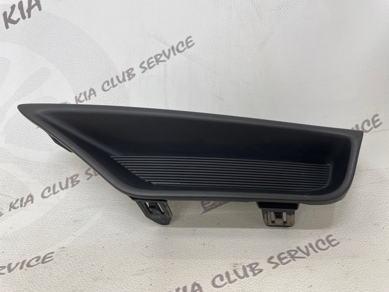 Заглушка бампера передняя левая RX 2019-2023 4