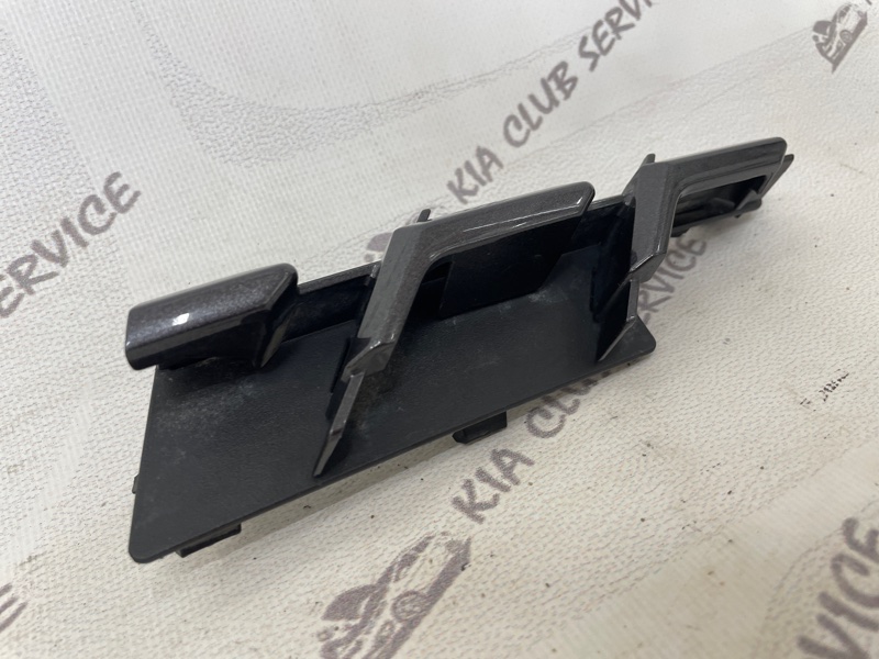 Заглушка решетки радиатора передняя правая RX 2019-2023 4