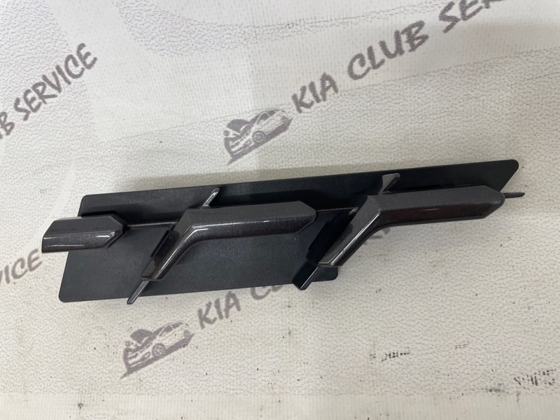 Заглушка решетки радиатора передняя правая RX 2019-2023 4