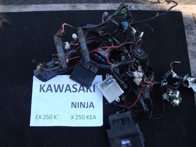 Электропроводка Kawasaki Ninja EX250K X250KEA