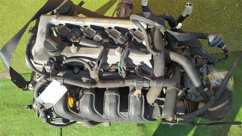 Двигатель Toyota Probox NCP59 1NZ-FE