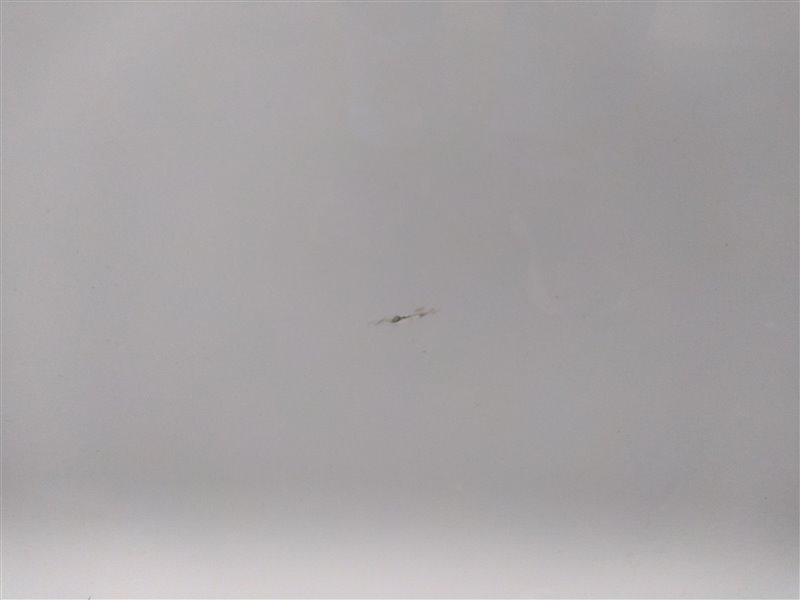 Дверь передняя правая Q8 4MN Дверь передняя правая Q8 4MN