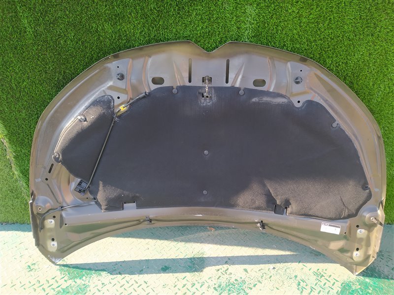 Капот DS4 NX Капот DS4 NX