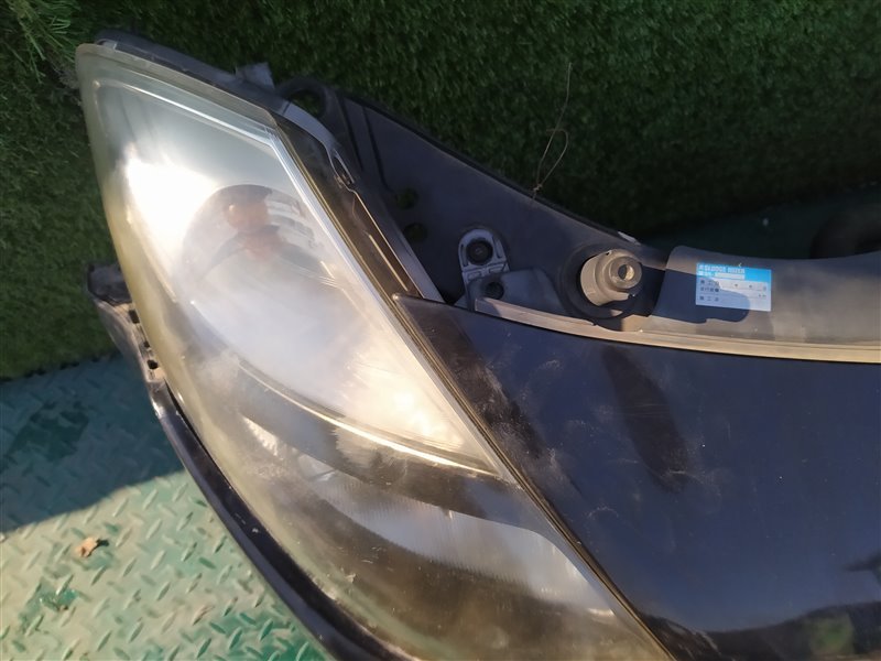 Nose cut CLIO BR K4M801 Nose cut CLIO BR K4M801